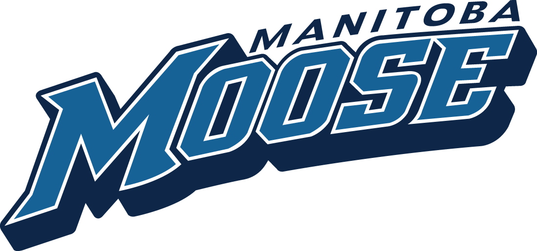 Manitoba Moose 2015-Pres Wordmark Logo iron on transfers for T-shirts